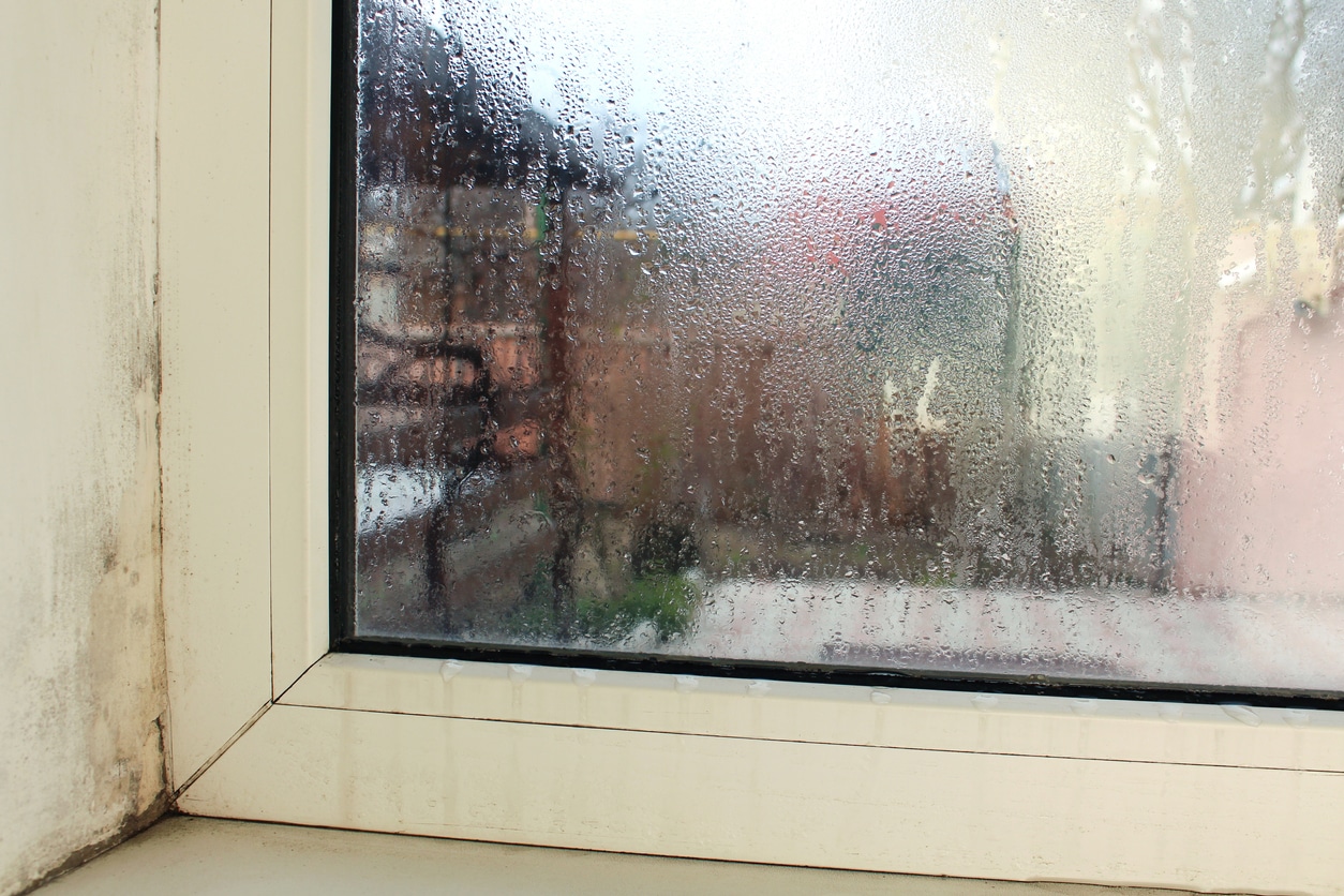 How Humid Should You Keep Your Home?